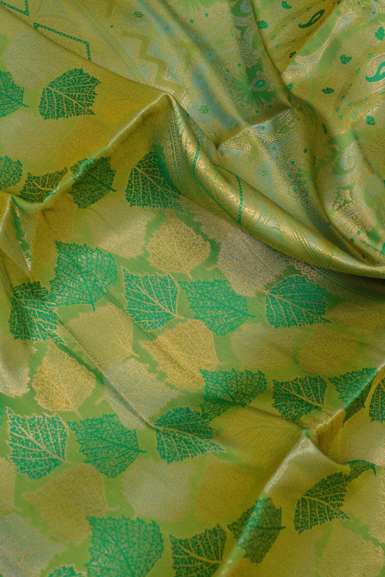 Semi Soft Kanchi Pattu